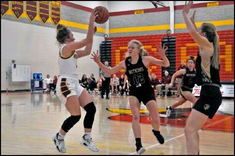 Lady Cardinals win against Botkins